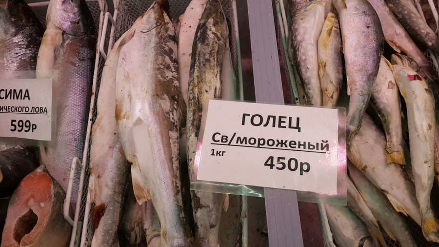 Магазин Рыбы Недорого